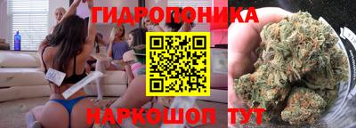 PSILOCYBIN Обнинск