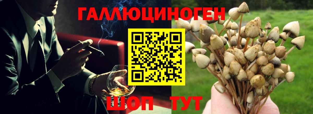 Галлюциногенные грибы Magic Shrooms Скопин